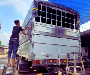 Xe Công Ty Cao Cấp